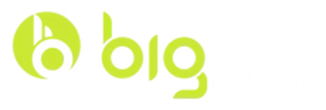 BigBoi logo