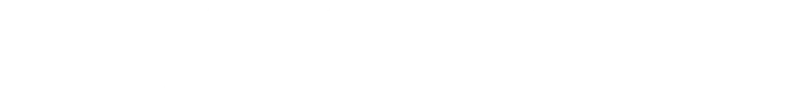 Nasiol logo